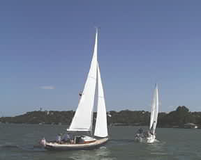 Boats on Lake LBJ