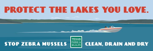 Stop Zebra Mussels!  Clean, drain and dry